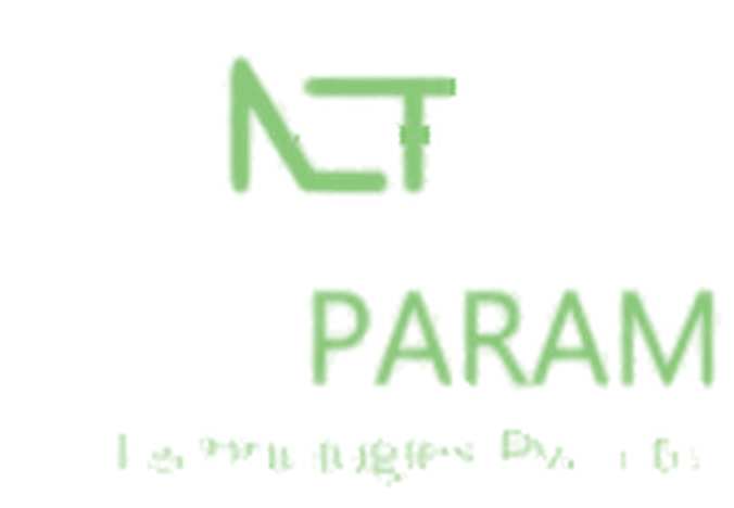 Netparam Technologies Pvt. Ltd.